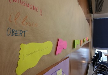 proces llarg